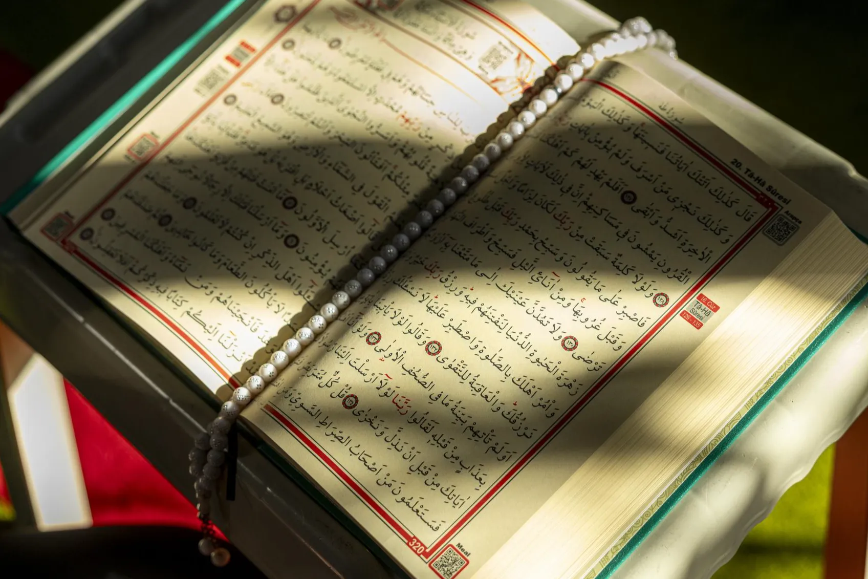 مساعدات نقدية